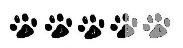 paws_threeandahalf