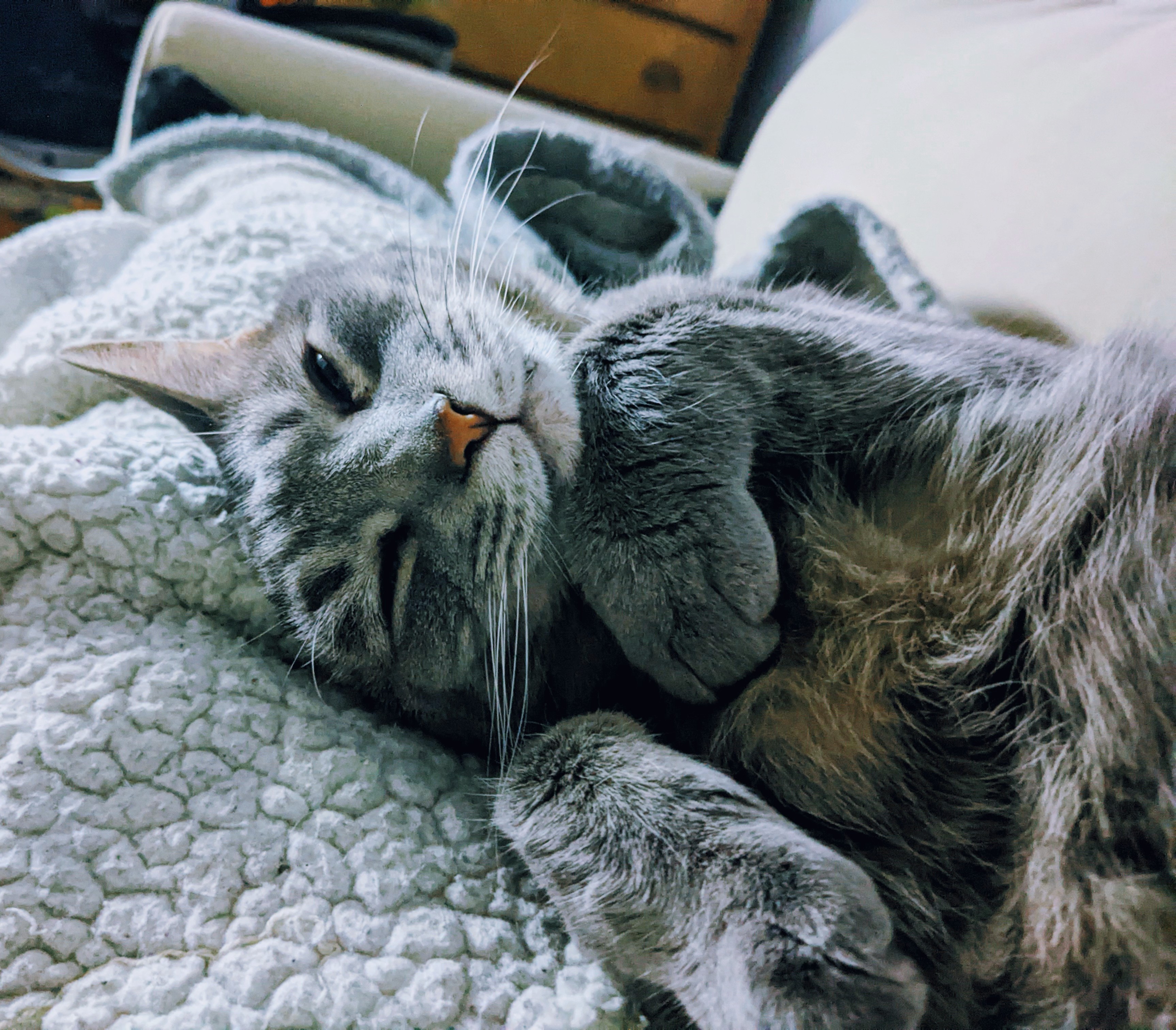 PXL_20211212_072907627.NIGHT~4