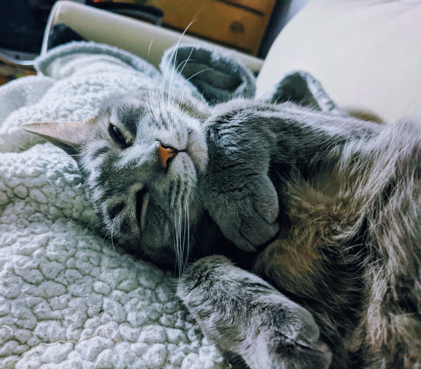 PXL_20211212_072907627.NIGHT~4