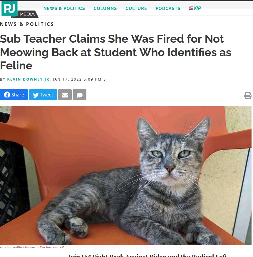 PJ Media: The Substitute and the Cat