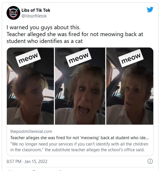 The Cat and the Substitute