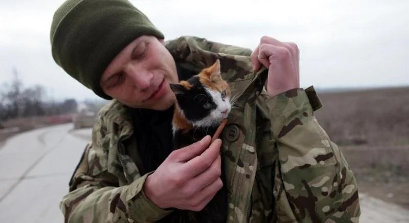 Ukrainian soldier with stray cat