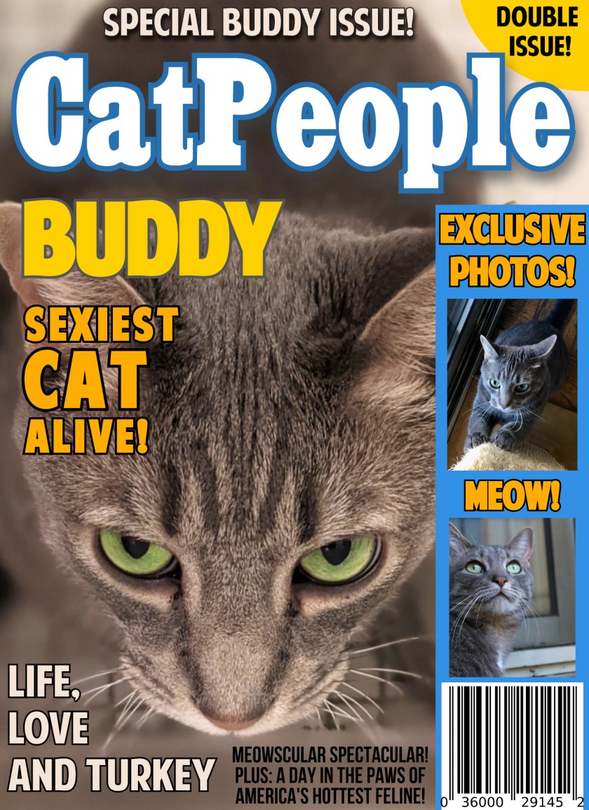 buddy_catpeople_edited