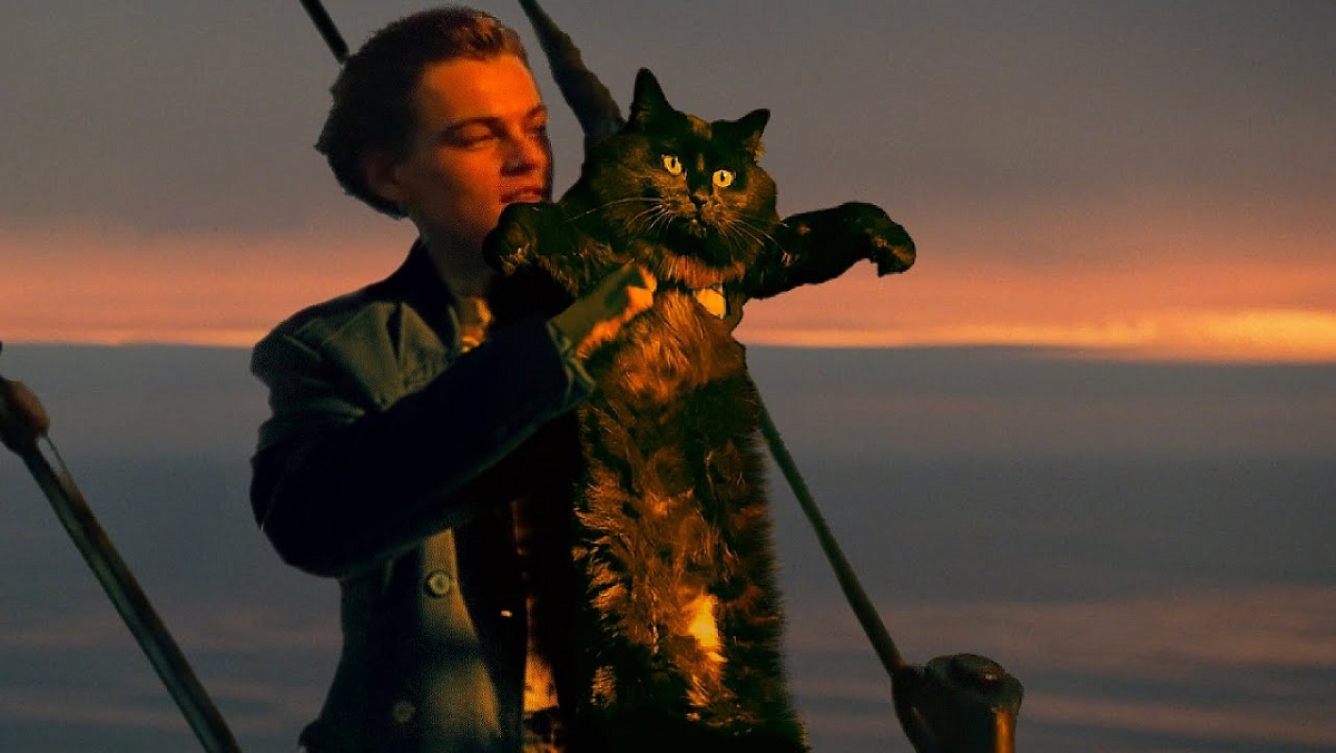 Titanic With A&nbsp;Cat!?