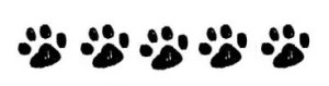 paws55