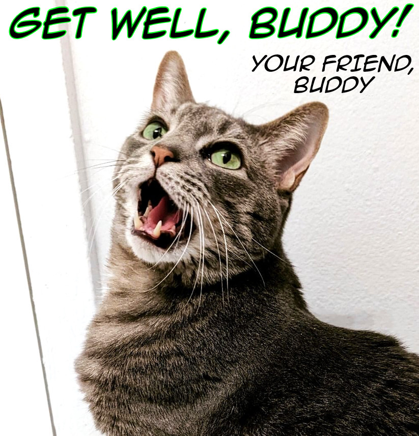 Get well, Buddy!