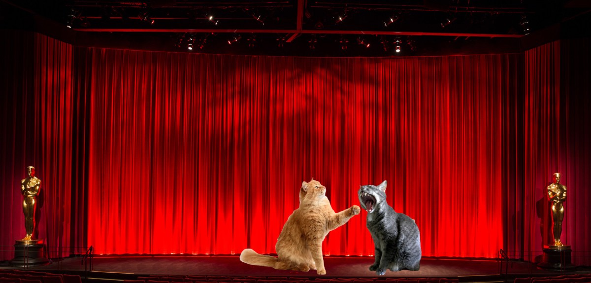 Oscars Shock! Garfield Slaps Buddy After Joke About Wife&nbsp;Venus