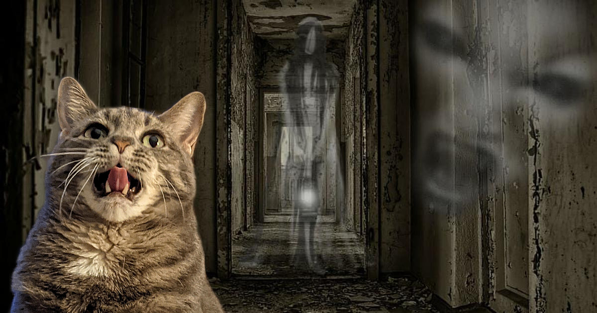 Dear Buddy: HELP! I’m Scared Of Ghosts And&nbsp;Monsters!