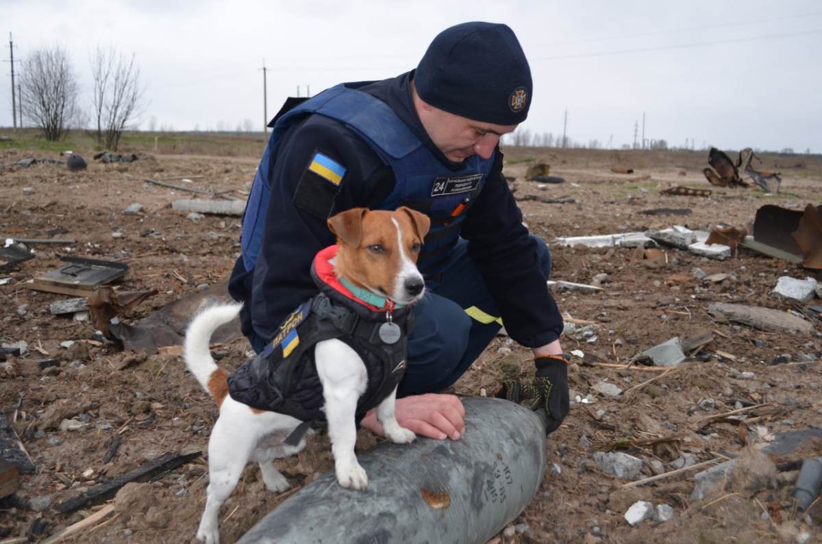 This Good Boy Has Helped Defuse 150 Russian Explosives In&nbsp;Ukraine