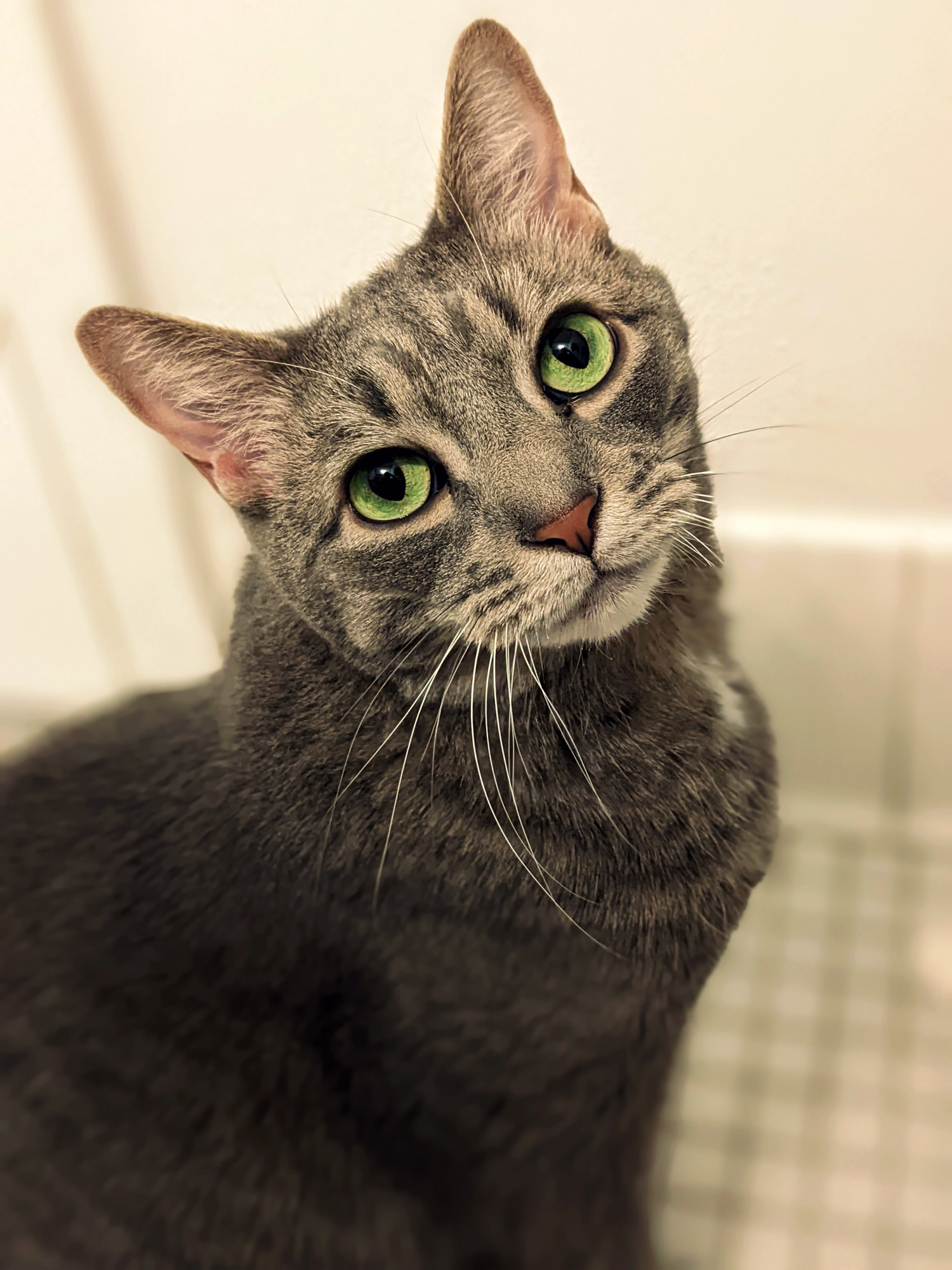 buddyportrait_saturated2