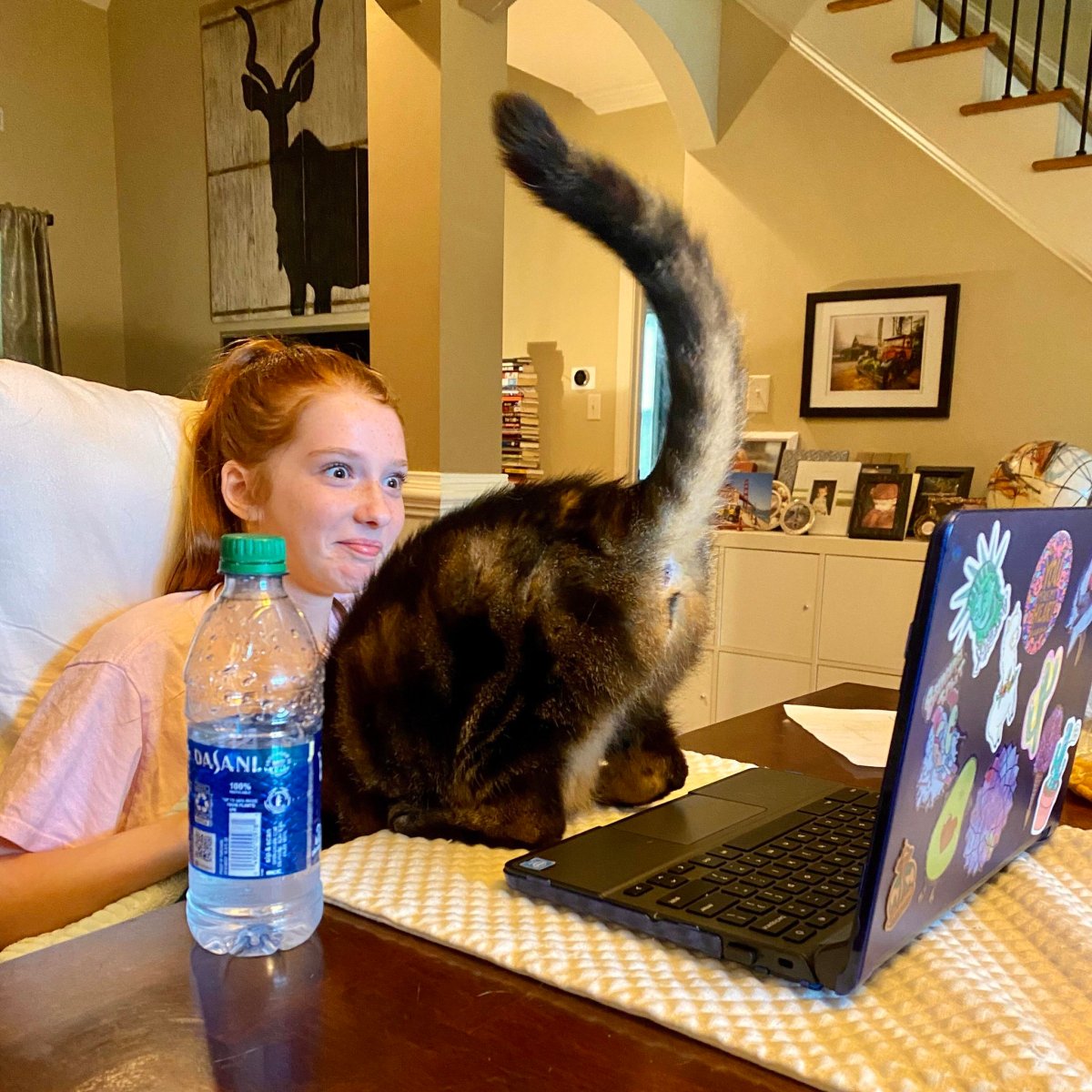 Study: 83% Of All Zoom Participants’ Screens Display Cat&nbsp;Butts
