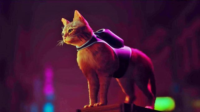 Long-Anticipated Play-As-A-Cat Game ‘Stray’ Releases In&nbsp;July!