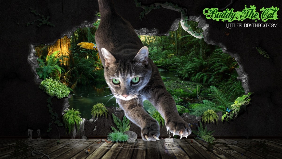 Get Your Buddy Down At The&nbsp;Shelter!