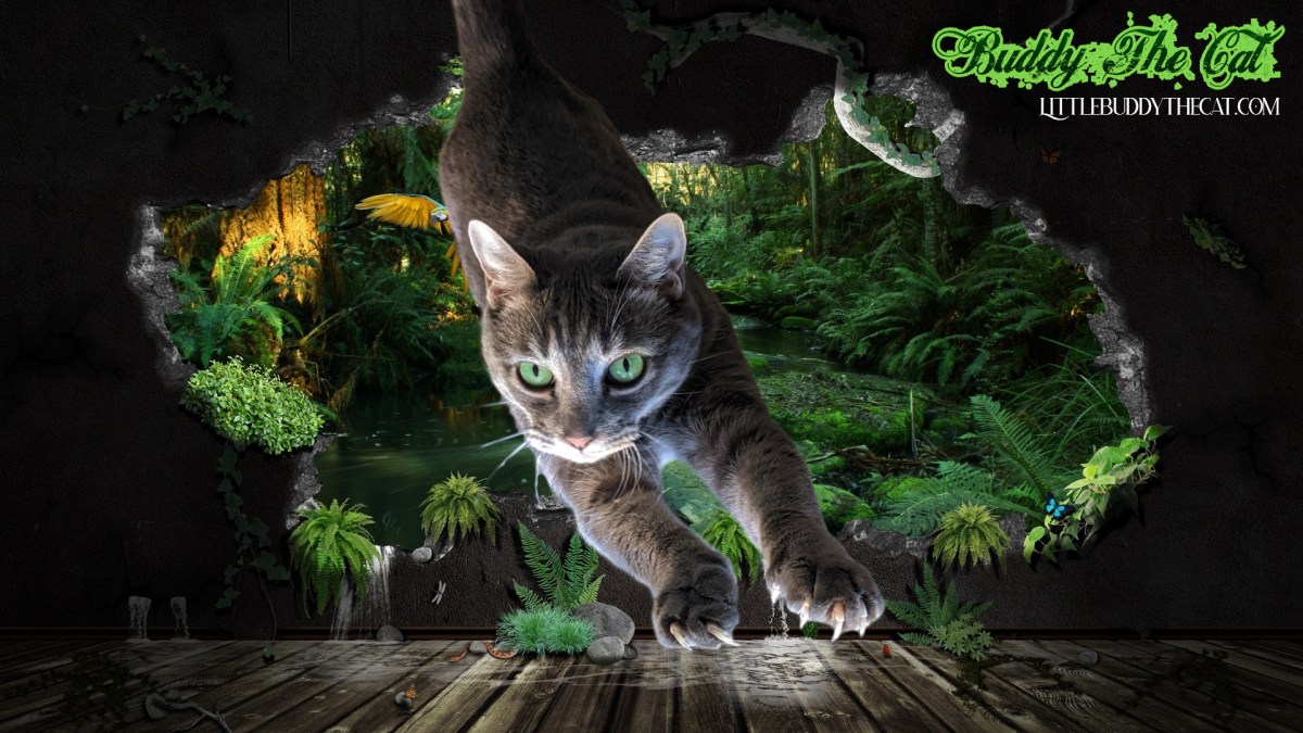 Interview With Buddy, The Cat Who Saved A Dog From Two&nbsp;Coyotes