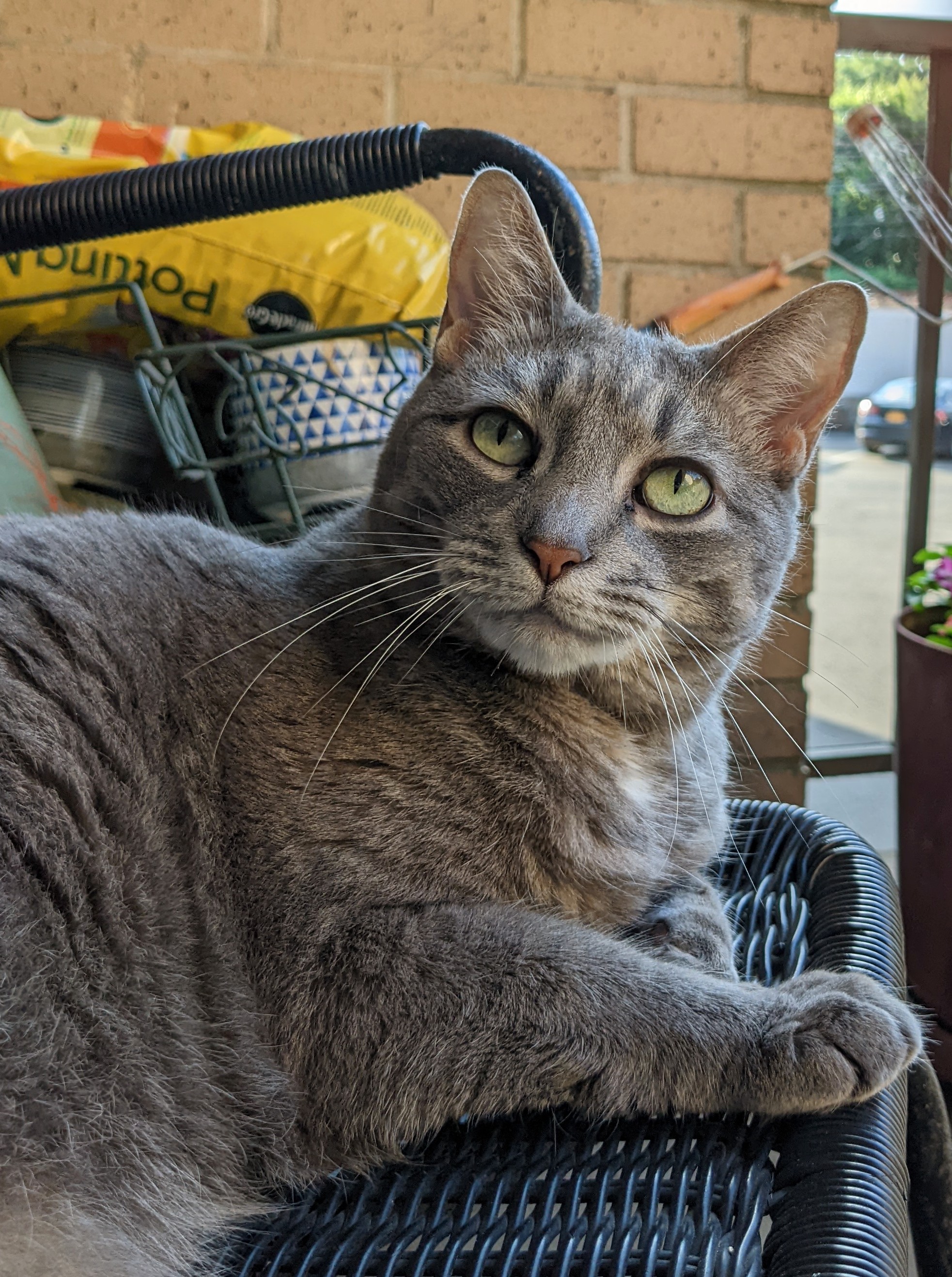 PXL_20220624_220717310~2