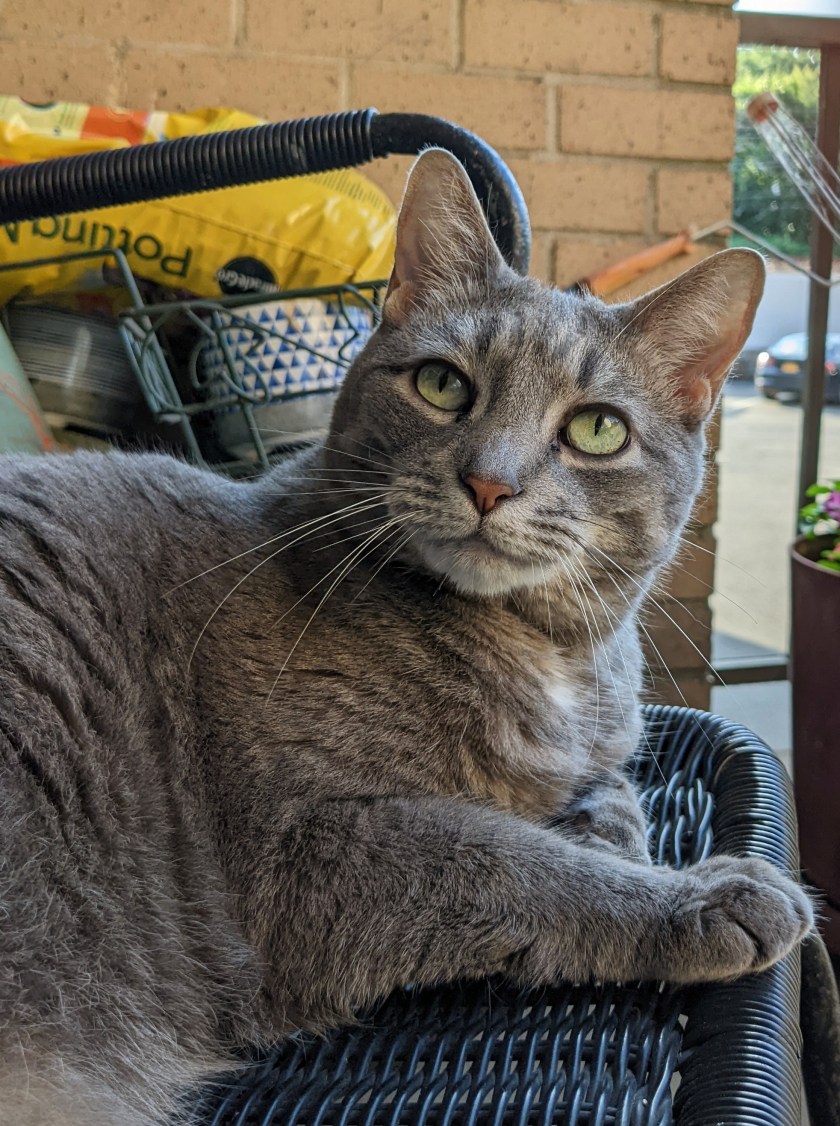 PXL_20220624_220717310~2