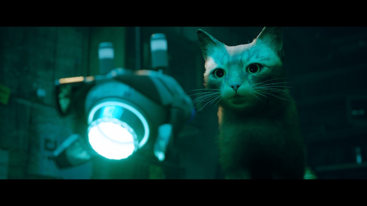 Stray: A Lost, Lonely Cat Gets A&nbsp;Buddy