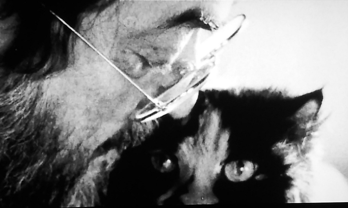 Stanly Kubrick Had A 15-Page Guide To Caring For His&nbsp;Cats