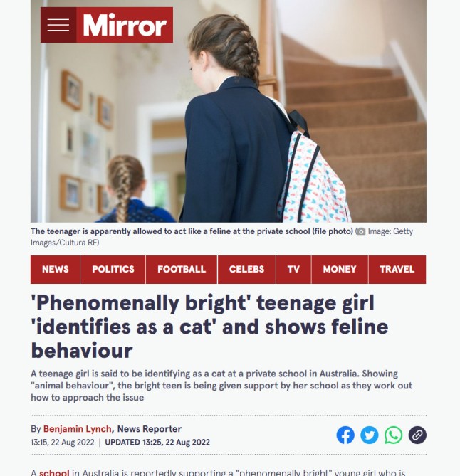 Viral story about alleged cat-identified teenager