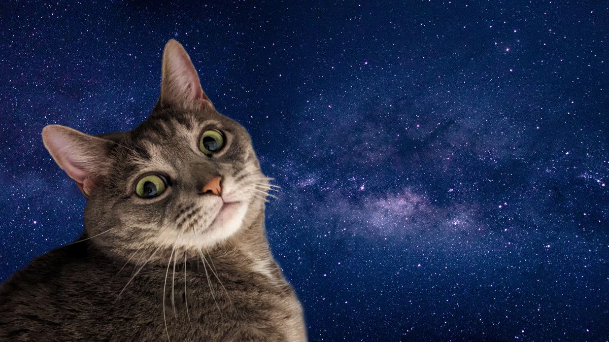 Buddy: ‘It Wasn’t&nbsp;Me!’