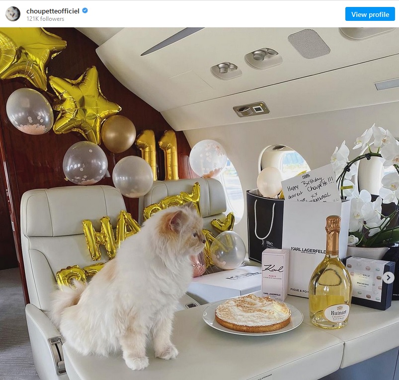 Choupette's birthday