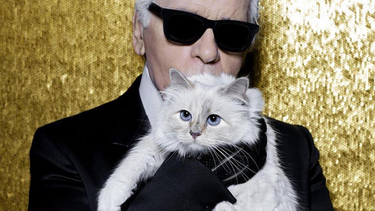 Karl Lagerfeld’s Millionaire Cat Travels By Private Jet, Drinks From Silver&nbsp;Dishes