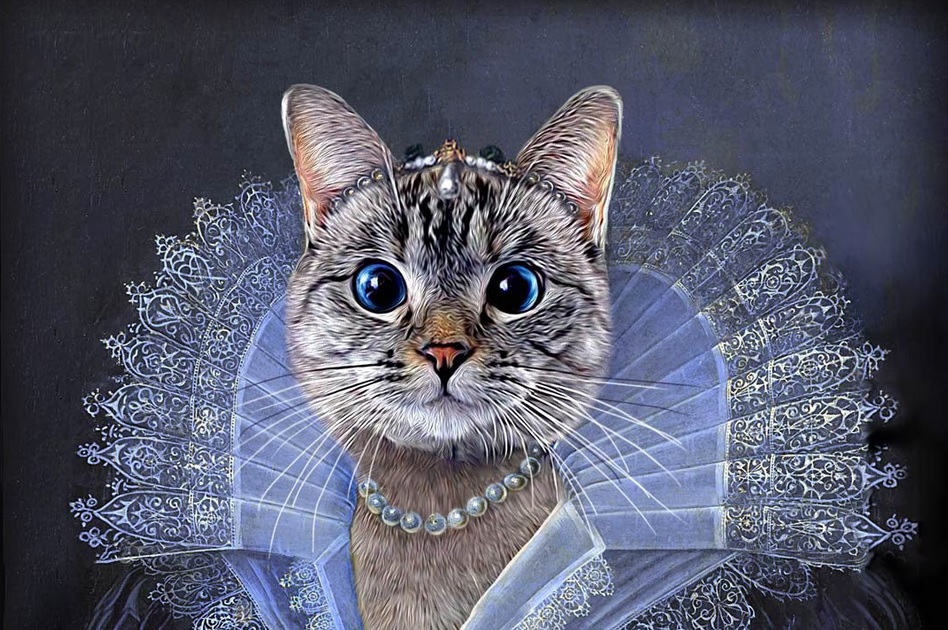 Wealthiest Cats In The World: Taylor Swift’s Cat Makes Choupette Look&nbsp;Poor