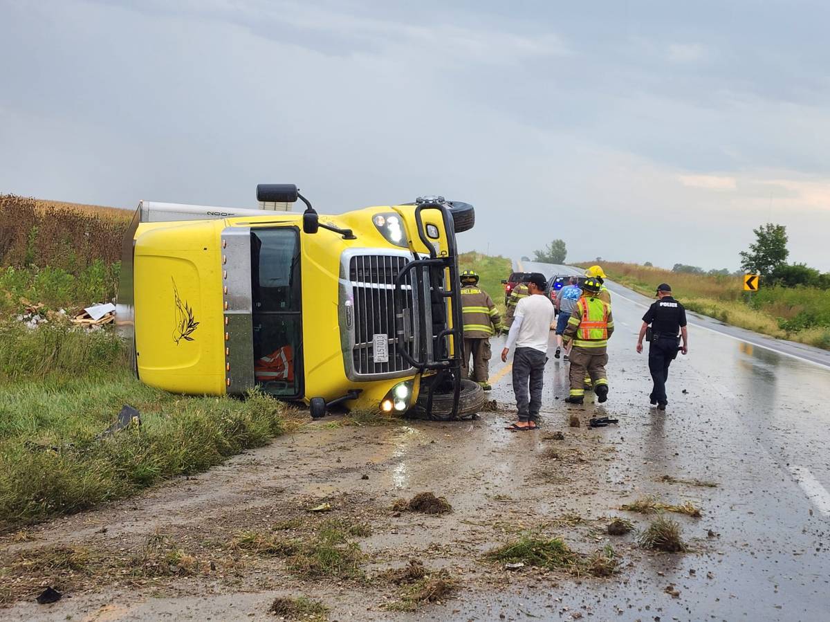 Buddy The Cat Launches Operation Yums After Crash Spills Thousands Of Cat Food Cans On&nbsp;Highway