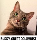 buddycolumn