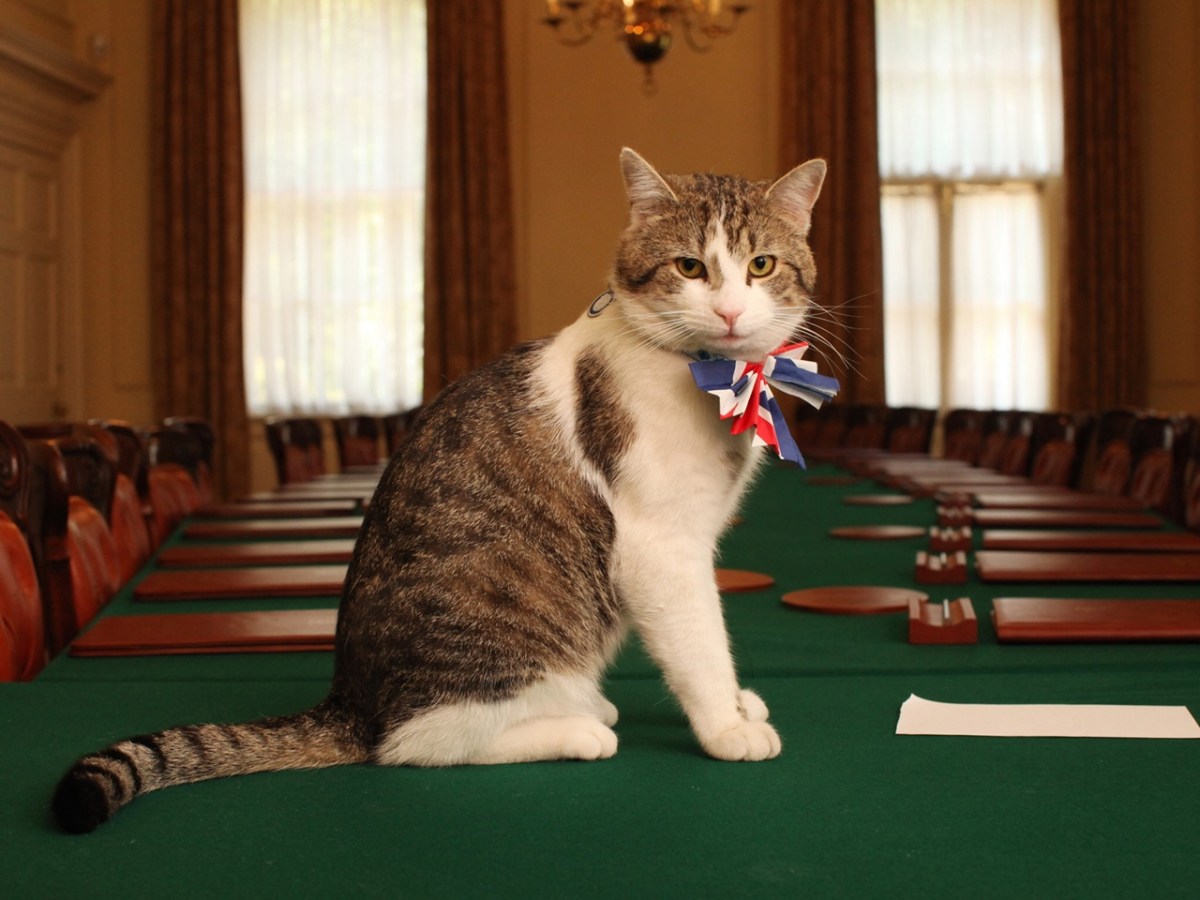 Larry The Cat Is Now On His 6th Prime Minister: Long Live Larry The&nbsp;Cat!
