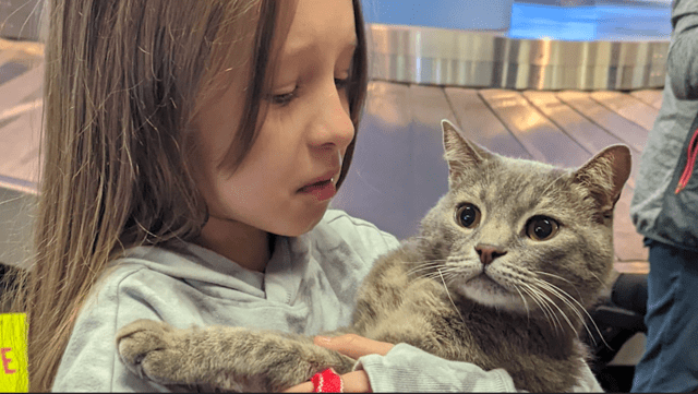 Little Ukrainian Girl Whose Family Fled To The US Is Reunited With Beloved&nbsp;Cat