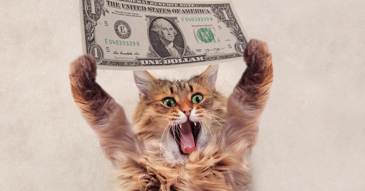 How Much Does It Cost To Care For A&nbsp;Cat?
