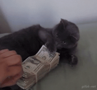 Kitty Cash