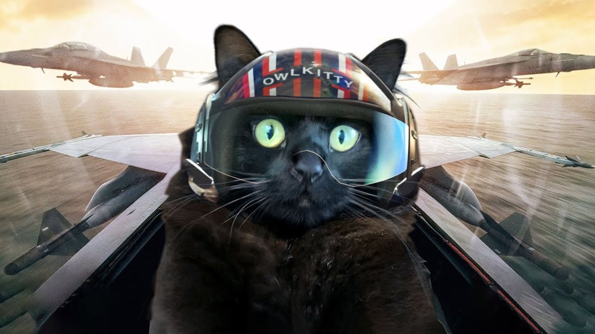OwlKitty Becomes Tom Cruise’s Wingman In ‘Top Gun With A&nbsp;Cat’