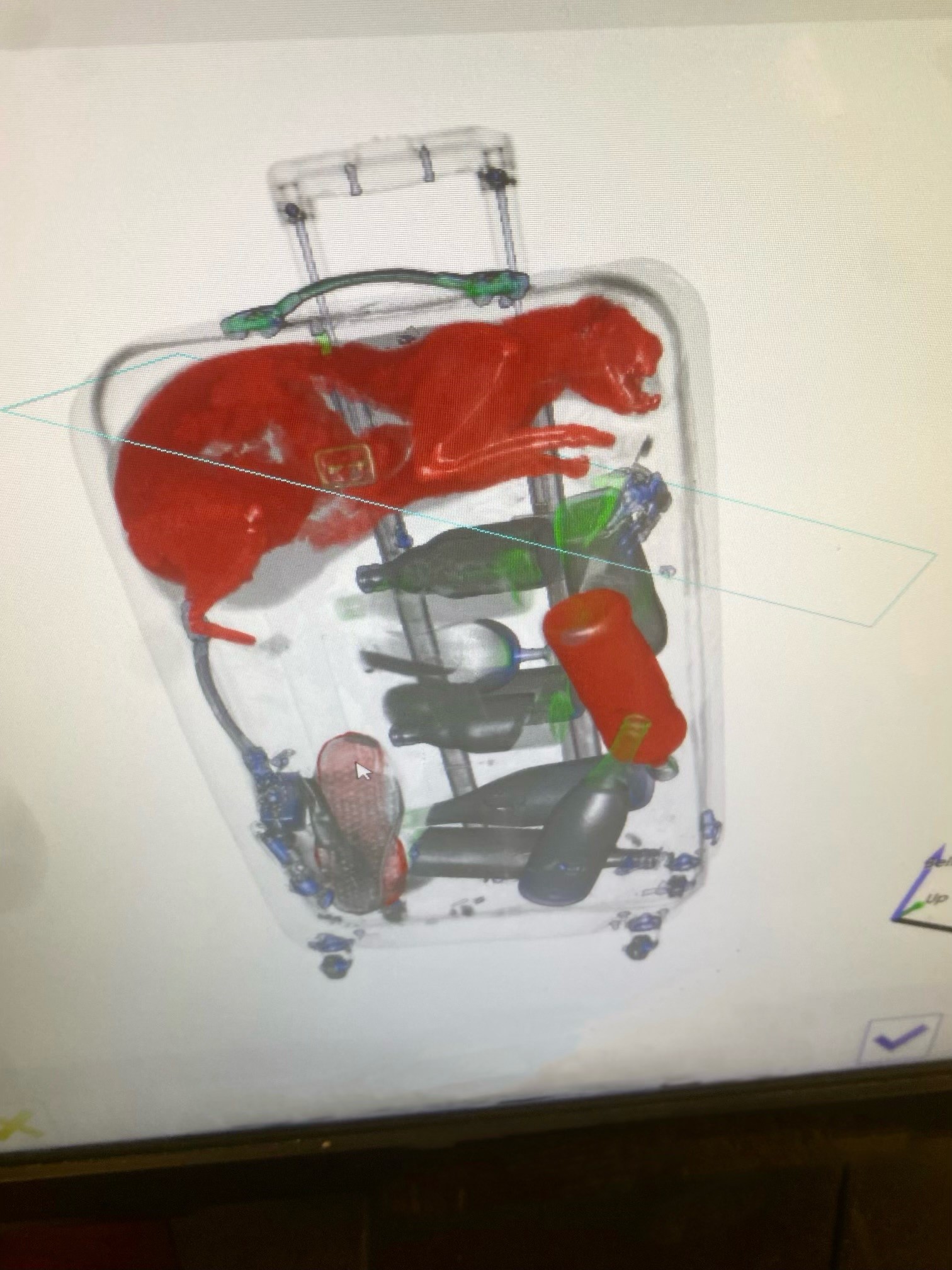 X-Ray TSA scan