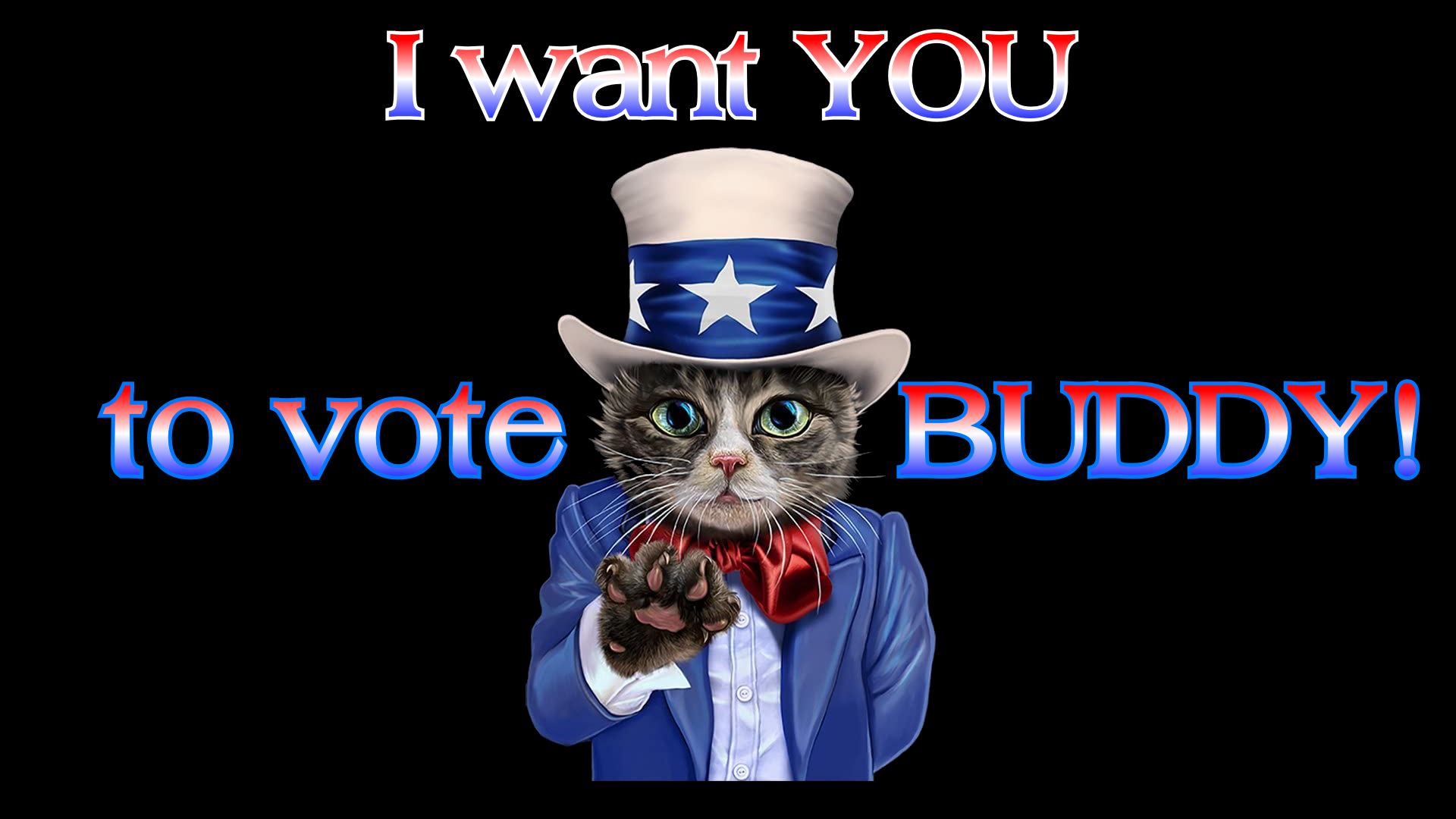 votebuddy