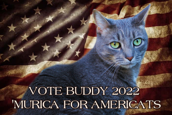 votebuddy2022