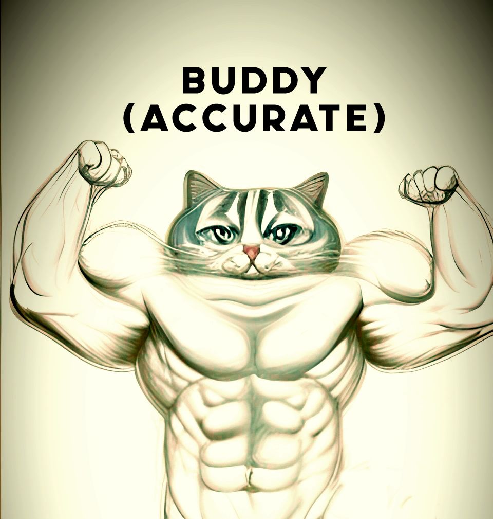buddy_accurate2
