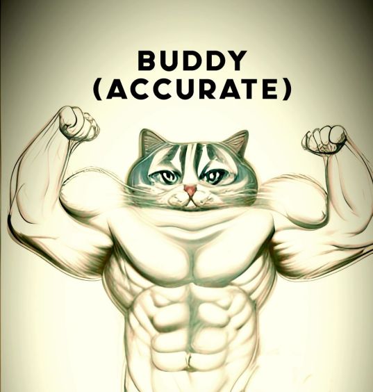 buddy_accurate2