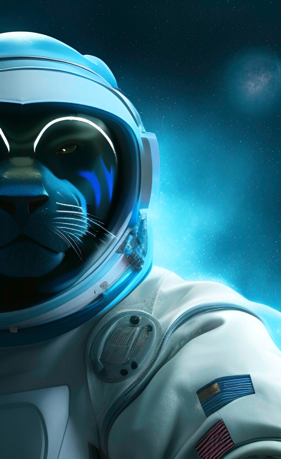 Catstronauts