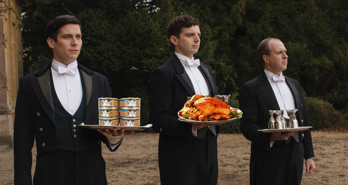 How Cats See The&nbsp;World