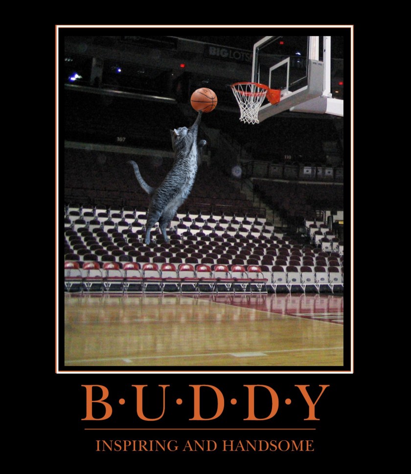 buddyinspiringhandsome