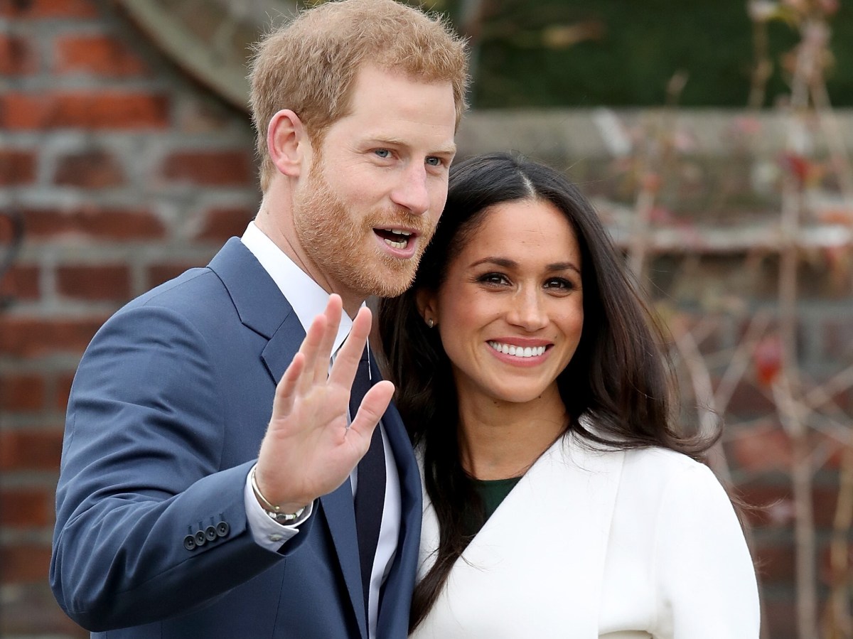 Cat On The Street: What Do You Think Of Harry And Meghan’s War On The Royal&nbsp;Family?