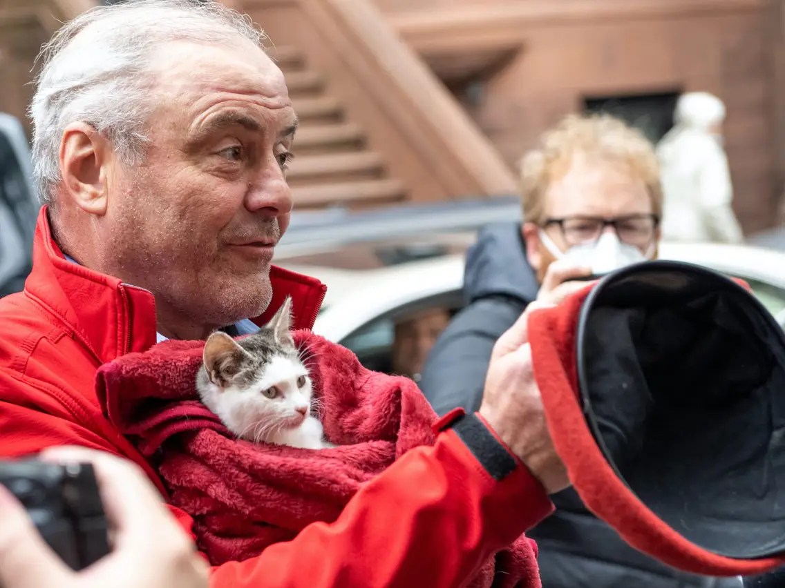 Can Cats Solve New York’s Rat&nbsp;Problem?