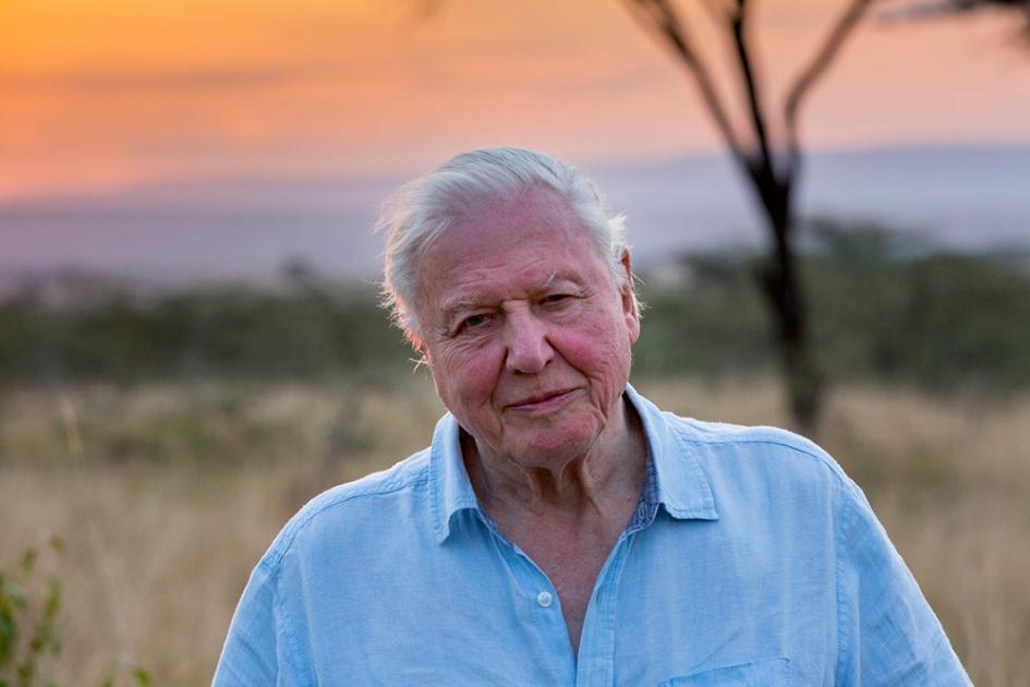 Sir David Cattenborough’s Newest Documentary Reveals The Elusive Silver-Furred&nbsp;Buddy
