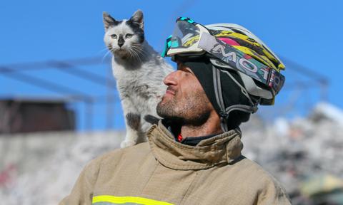 quot-enkaz-quot-the-cat-won-39-t-leave-the-side-of-its-rescuers-in-quake-hit-gaziantep