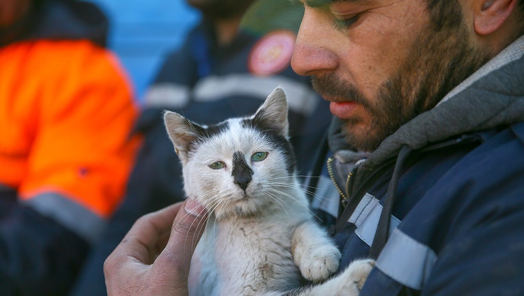 Sunday Cats: Larry The Cat Celebrates 12 Years As De Facto UK Ruler, Cat Rescued From Rubble Won’t Leave Rescuer’s&nbsp;Side