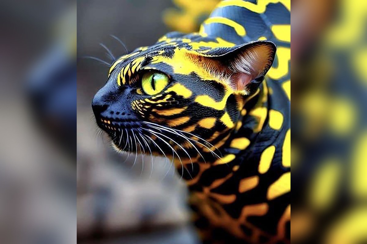 The ‘Snake Cat’ Is A Bad AI&nbsp;Fake