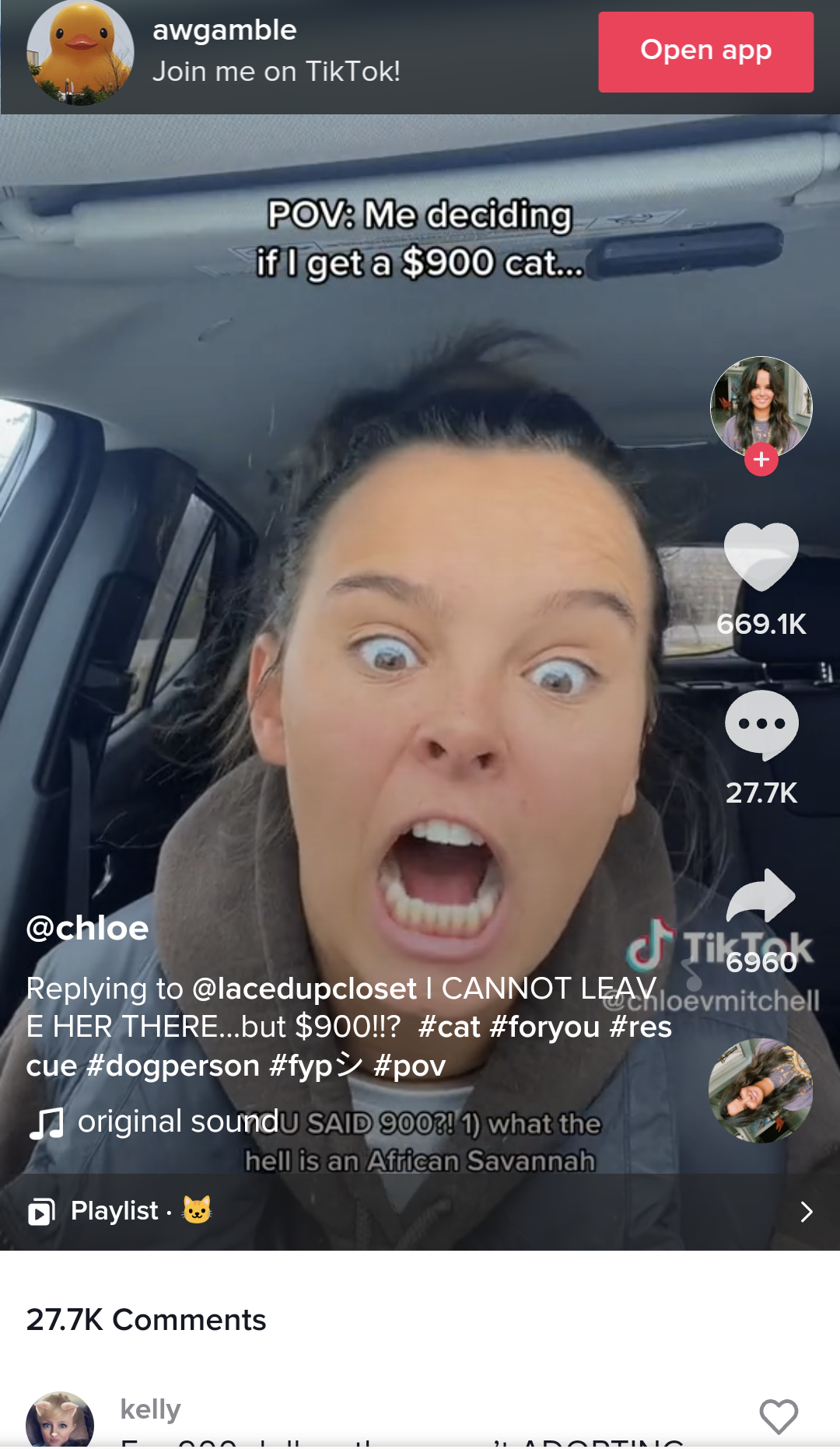 TikTok Influencer Rages At Shelter In Video About Adoption Fee
