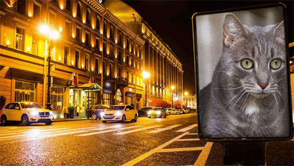 PhotoFunia-1681175104